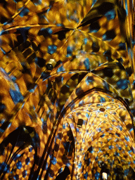 Ceiling of the nave of the Augustijnenkerk church during the Casa Magica lightshow of the GLOW festival