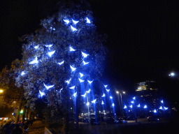 Light sculpture with birds at the Stationsweg street during the GLOW festival, by night