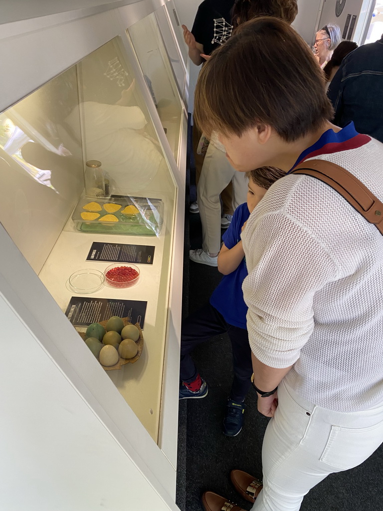 Miaomiao and Max at the Nano supermarket at the Strip area at the High Tech Campus Eindhoven, during the High Tech Campus Eindhoven Open Day 2022