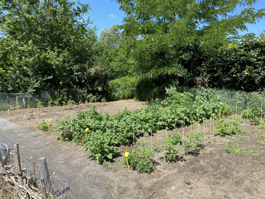 Garden next to the Boerderij building at the High Tech Campus Eindhoven, during the High Tech Campus Eindhoven Open Day 2022