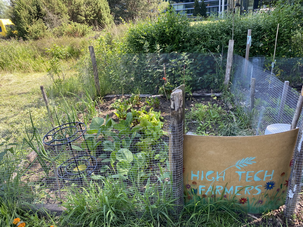 Garden next to the Boerderij building at the High Tech Campus Eindhoven, during the High Tech Campus Eindhoven Open Day 2022