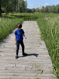 Max on a pier at the pond at the High Tech Campus Eindhoven, during the High Tech Campus Eindhoven Open Day 2022