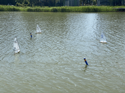 Remote controlled boats at the pond at the High Tech Campus Eindhoven, during the High Tech Campus Eindhoven Open Day 2022
