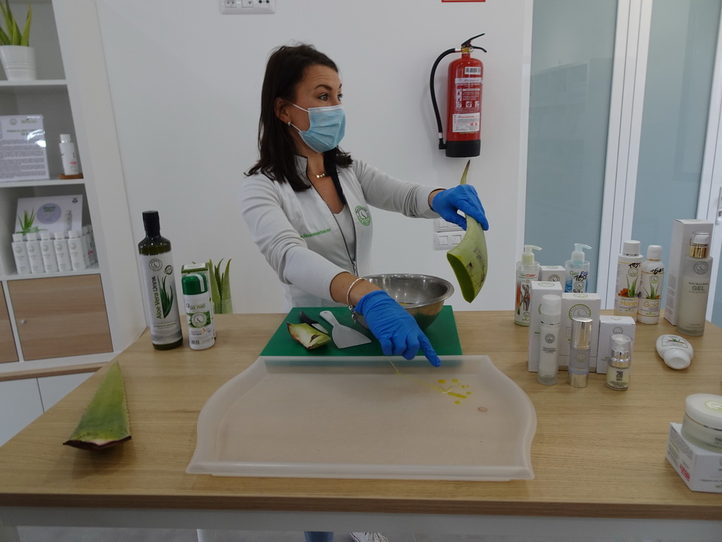 Employee showing Aloe Vera juice at the main building of the Aloe Vera farm