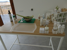 Aloe Vera leaf and products at the main building of the Aloe Vera farm