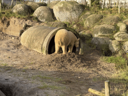 emmen_217 - 523 kb - 1024x768 -