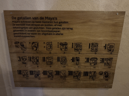 emmen_228 - 241 kb - 1024x768 -