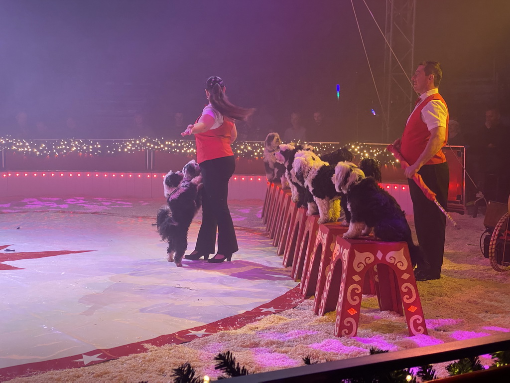 Circus artists and dogs at the Kerstcircus Etten-Leur, during the act `Ten Tibetan Terriers - Josefine & Daniël Igen`