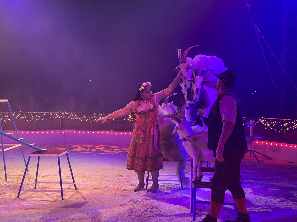 Circus artists and goats at the Kerstcircus Etten-Leur, during the act `Trained Dwarf Goats - Josefine & Daniël Igen`