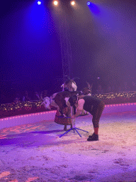 Circus artists and goats at the Kerstcircus Etten-Leur, during the act `Trained Dwarf Goats - Josefine & Daniël Igen`