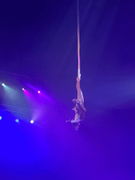Circus artist at the Kerstcircus Etten-Leur, during the act `Power and Elegance to the Straps - Luna Valkiv`