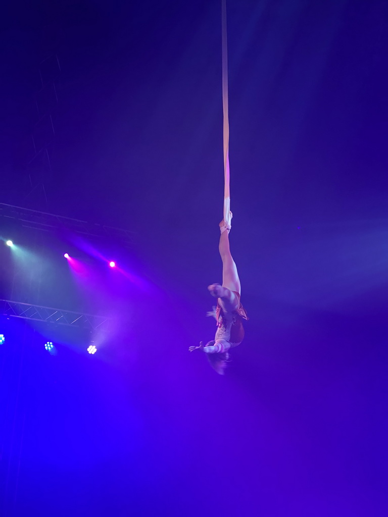 Circus artist at the Kerstcircus Etten-Leur, during the act `Power and Elegance to the Straps - Luna Valkiv`