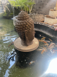 Pond with Koi at the exotic garden center De Evenaar
