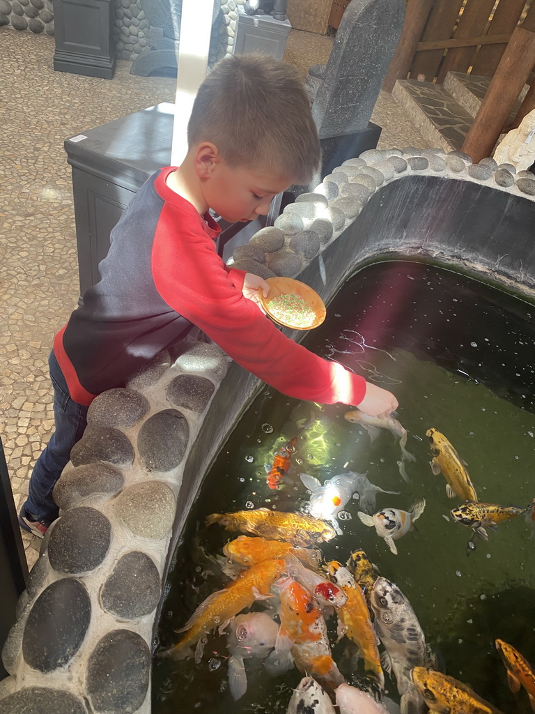 Max feeding Koi at a pond at the exotic garden center De Evenaar
