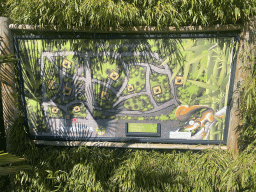 Map of the Bamboo Garden and Eekhoorn Experience at the exotic garden center De Evenaar