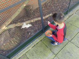 Max feeding an American Red Squirrel at the Eekhoorn Experience at the Bamboo Garden at the exotic garden center De Evenaar