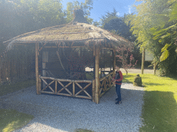 Max at a squirrel cage at the Eekhoorn Experience at the Bamboo Garden at the exotic garden center De Evenaar