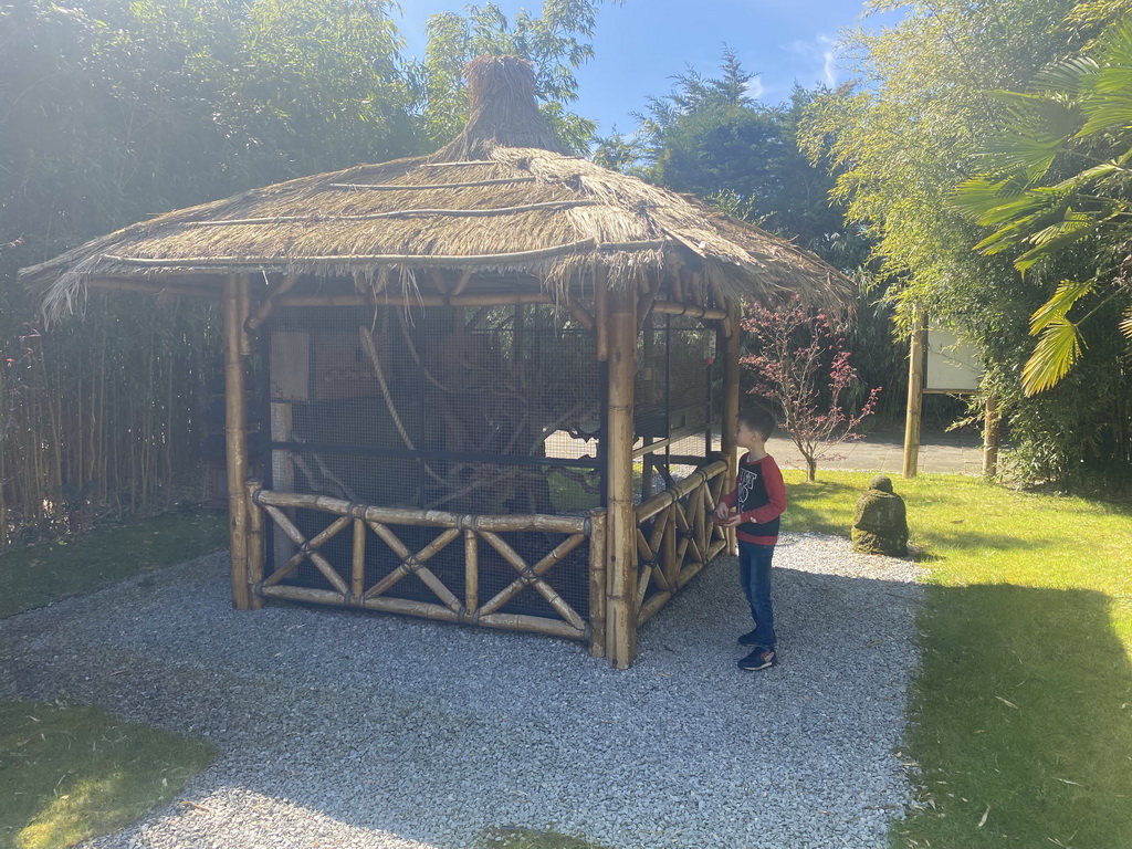 Max at a squirrel cage at the Eekhoorn Experience at the Bamboo Garden at the exotic garden center De Evenaar