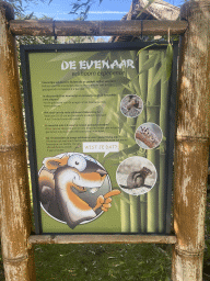 Information on the reproduction of Squirrels at the Eekhoorn Experience at the Bamboo Garden at the exotic garden center De Evenaar
