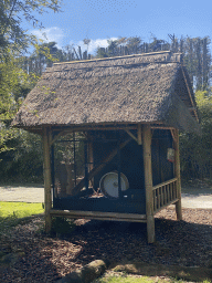 Squirrel cage with running wheel at the Eekhoorn Experience at the Bamboo Garden at the exotic garden center De Evenaar