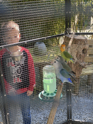 Max with Parakeets at the Bamboo Garden at the exotic garden center De Evenaar