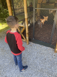 Max with a Red Squirrel at the Eekhoorn Experience at the Bamboo Garden at the exotic garden center De Evenaar