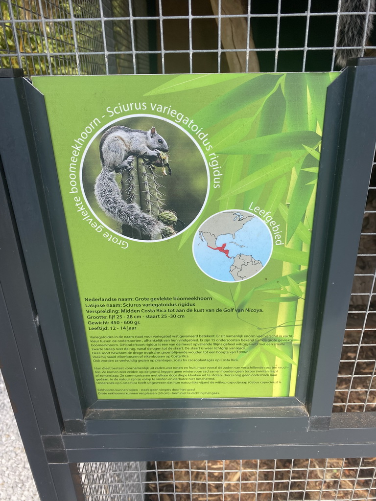 Information on the Variegated Squirrel (rigidus) at the Eekhoorn Experience at the Bamboo Garden at the exotic garden center De Evenaar