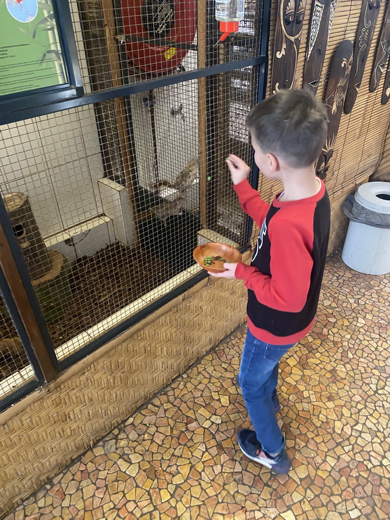 Max feeding Swinhoe`s Striped Squirrels at the exotic garden center De Evenaar