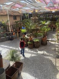 Max at the exotic garden center De Evenaar