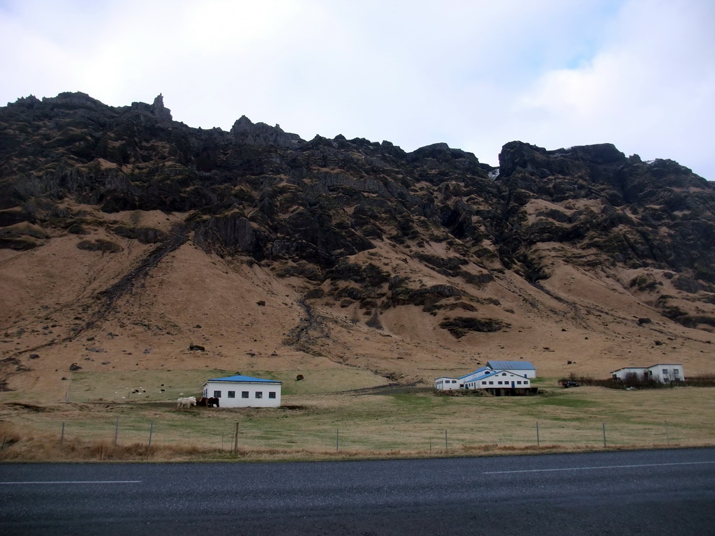 The Steinar farm, next to the Hringvegur road