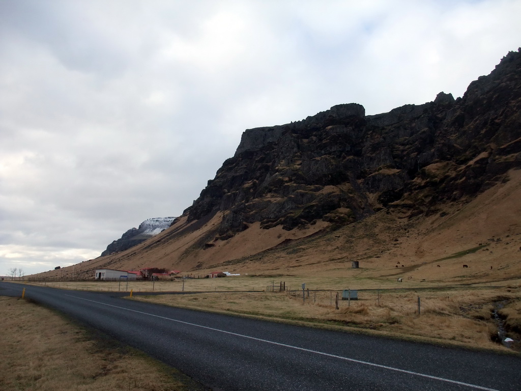 The Steinar farm, next to the Hringvegur road