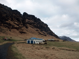 The Steinar farm with horses