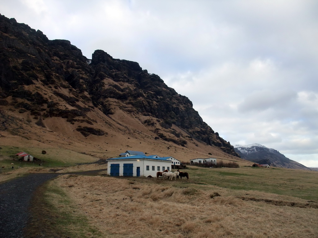 The Steinar farm with horses