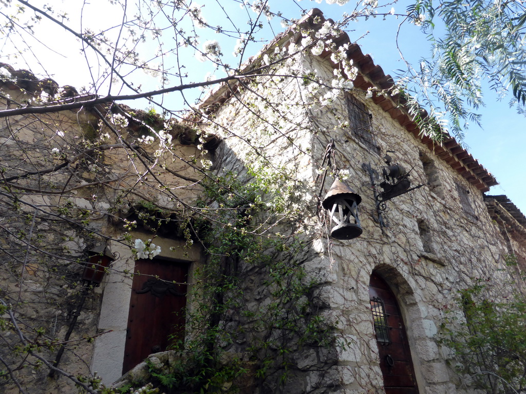 House and tree with flowers at the Rue de la Pise street