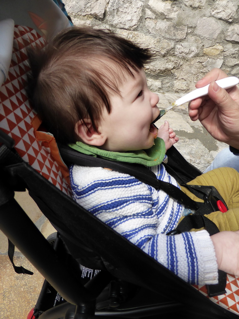 Max having lunch at the Restaurant Le Nid d`Aigle at the Rue du Château street