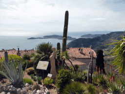 Cactuses and statue at the Jardin d`Èze botanical garden, with a view on the Mont Boron hill and the Cap-Ferrat peninsula with the town of Saint-Jean-Cap-Ferrat