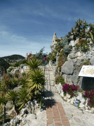 Castuses along the path at the Jardin d`Èze botanical garden leading to the castle ruins