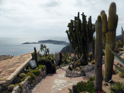 Cactuses at the Jardin d`Èze botanical garden and the Cap-Ferrat peninsula with the town of Saint-Jean-Cap-Ferrat