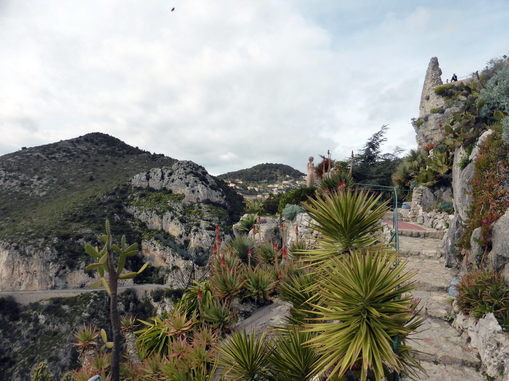 Cactuses at the path at the Jardin d`Èze botanical garden leading from the castle ruins