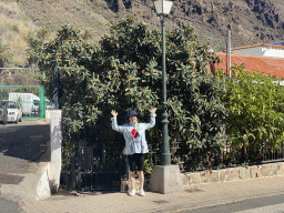 Miaomiao with a tree at the Calle Néstor Álamo street