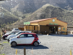 The Aloe Vera Fataga farm, viewed from the tour bus on the GC-60 road