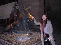 Miaomiao`s friend with the Fontana del Porcellino fountain at the Piazza del Mercato Nuovo square, by night