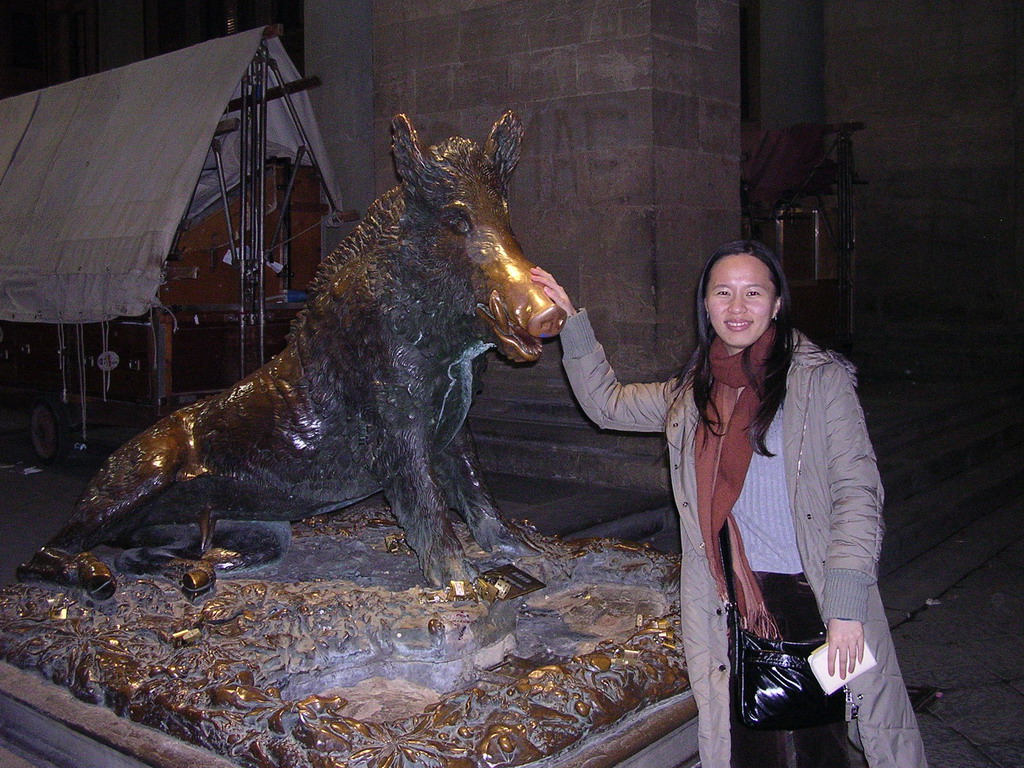 Miaomiao`s friend with the Fontana del Porcellino fountain at the Piazza del Mercato Nuovo square, by night