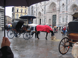 Horse and carriage in front of the Cathedral of Santa Maria del Fiore at the Piazza del Duomo square