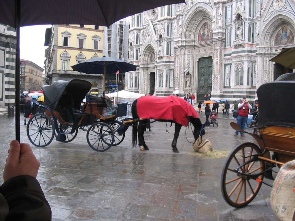 Horse and carriage in front of the Cathedral of Santa Maria del Fiore at the Piazza del Duomo square