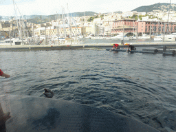 Dolphins and their trainers at the Cetaceans Pavilion at the Aquarium of Genoa, with a view on the Old Harbour