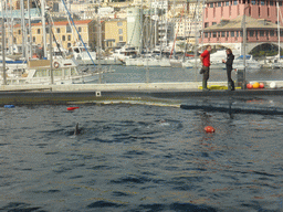 Dolphins and their trainers at the Cetaceans Pavilion at the Aquarium of Genoa, with a view on the Old Harbour