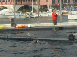 Dolphin and its trainer at the Cetaceans Pavilion at the Aquarium of Genoa, with a view on the Old Harbour