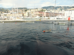 Dolphin and its trainer at the Cetaceans Pavilion at the Aquarium of Genoa, with a view on the Old Harbour