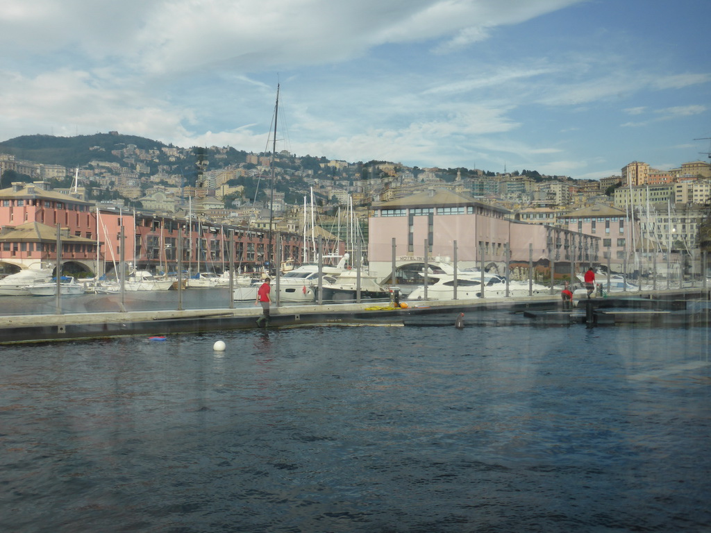 Dolphins and their trainers at the Cetaceans Pavilion at the Aquarium of Genoa, with a view on the Old Harbour